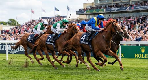 Horse race at Flemington